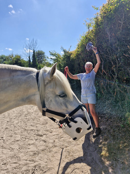 How to Put the LiteBite Horse Muzzle On Your Horse