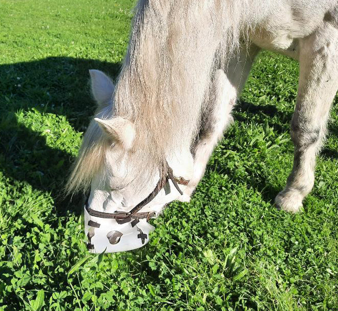 How to Stop a Horse Gaining Weight on Spring Grass