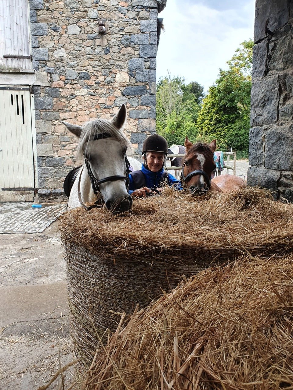 The LiteBite Horse Muzzle family