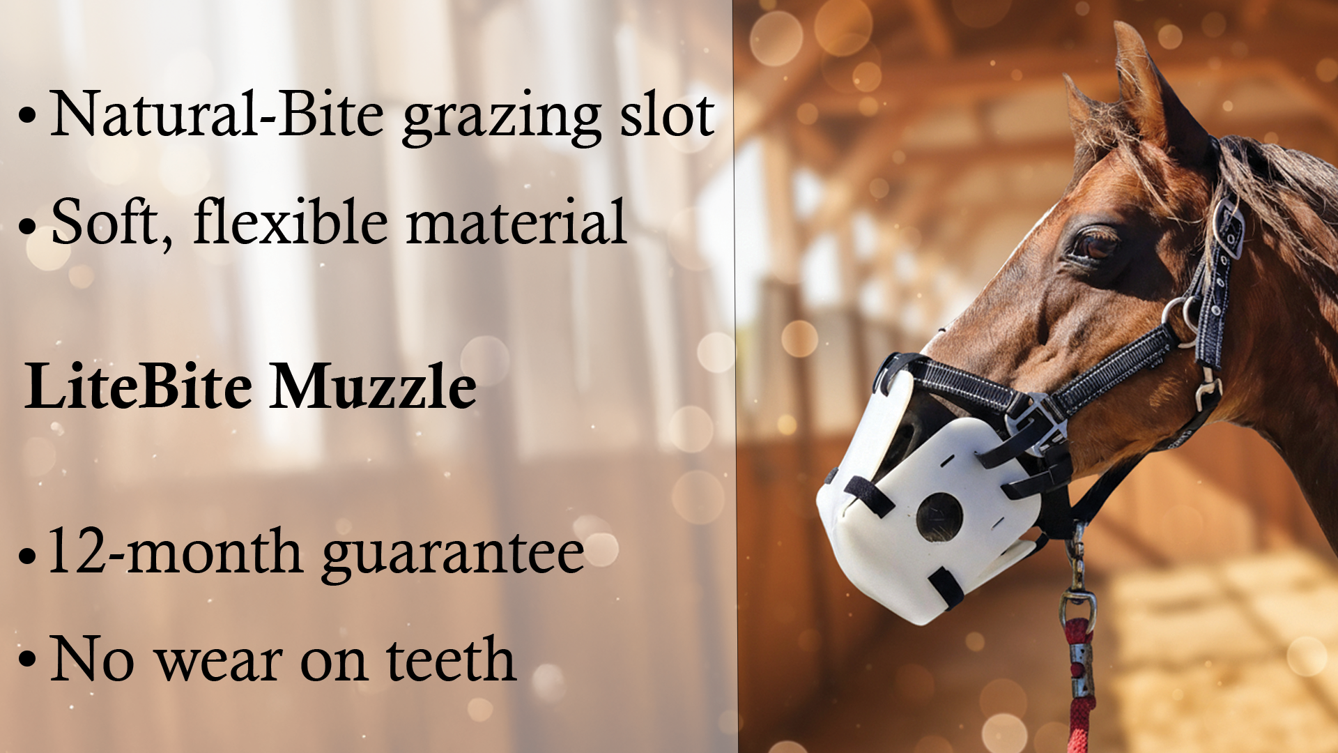 Load video: A demonstration by my lovely grandmother of the litebite horse muzzle